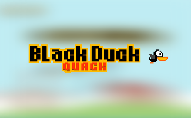 Black Duck Quack
